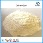 EINECS: 275-117-5 درجه کم کالری کم Acyl Gellan Gum برای تولید نانوایی