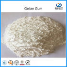 پودر کرم پودر Acyl Gellan پودر مواد غذایی Grade Food CAS 71010-52-1